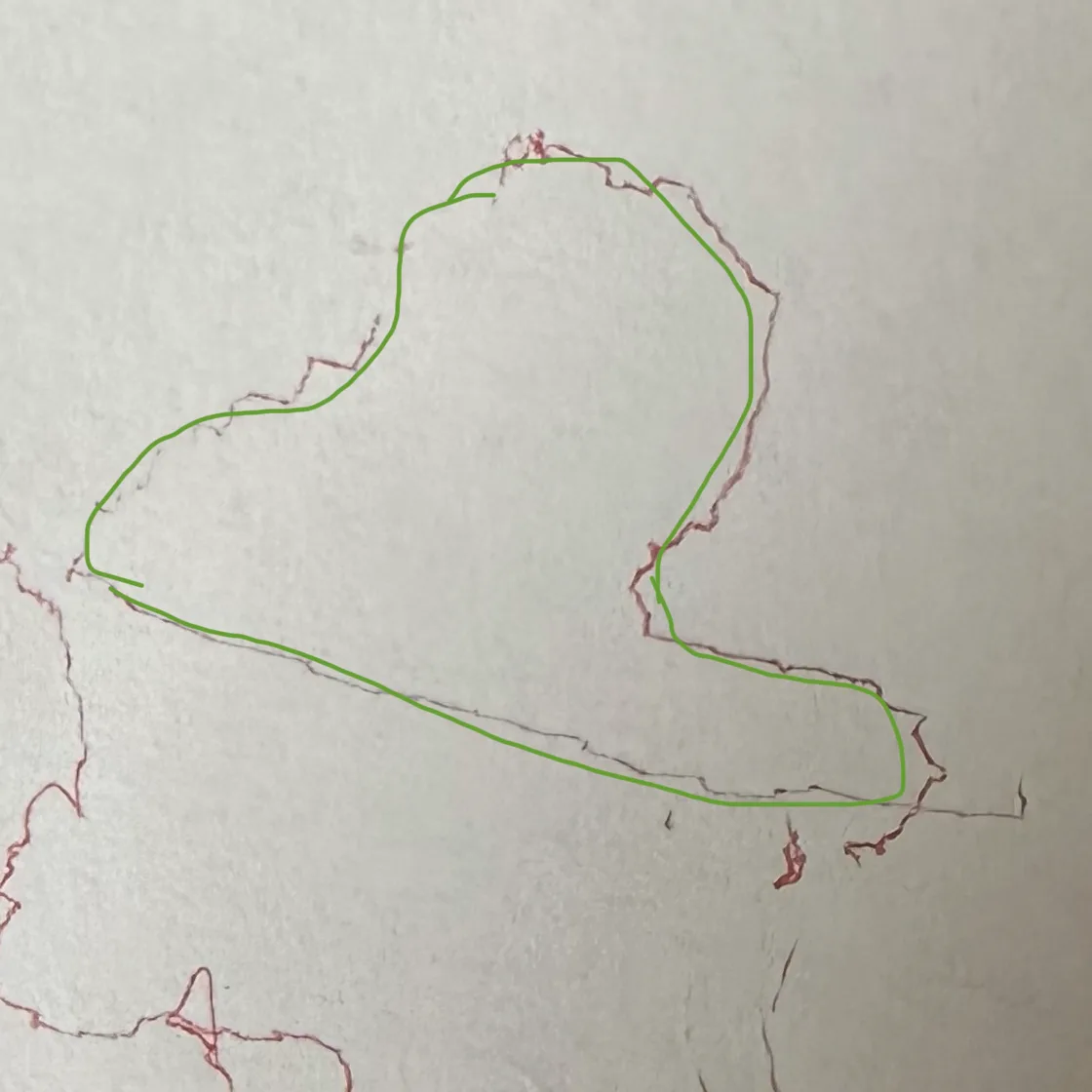 紙上紅線畫的天鵝,細節有些破碎;上面疊著一條綠線,是事後用手描的,好讓天鵝輪廓更容易看見,不是手臂畫的