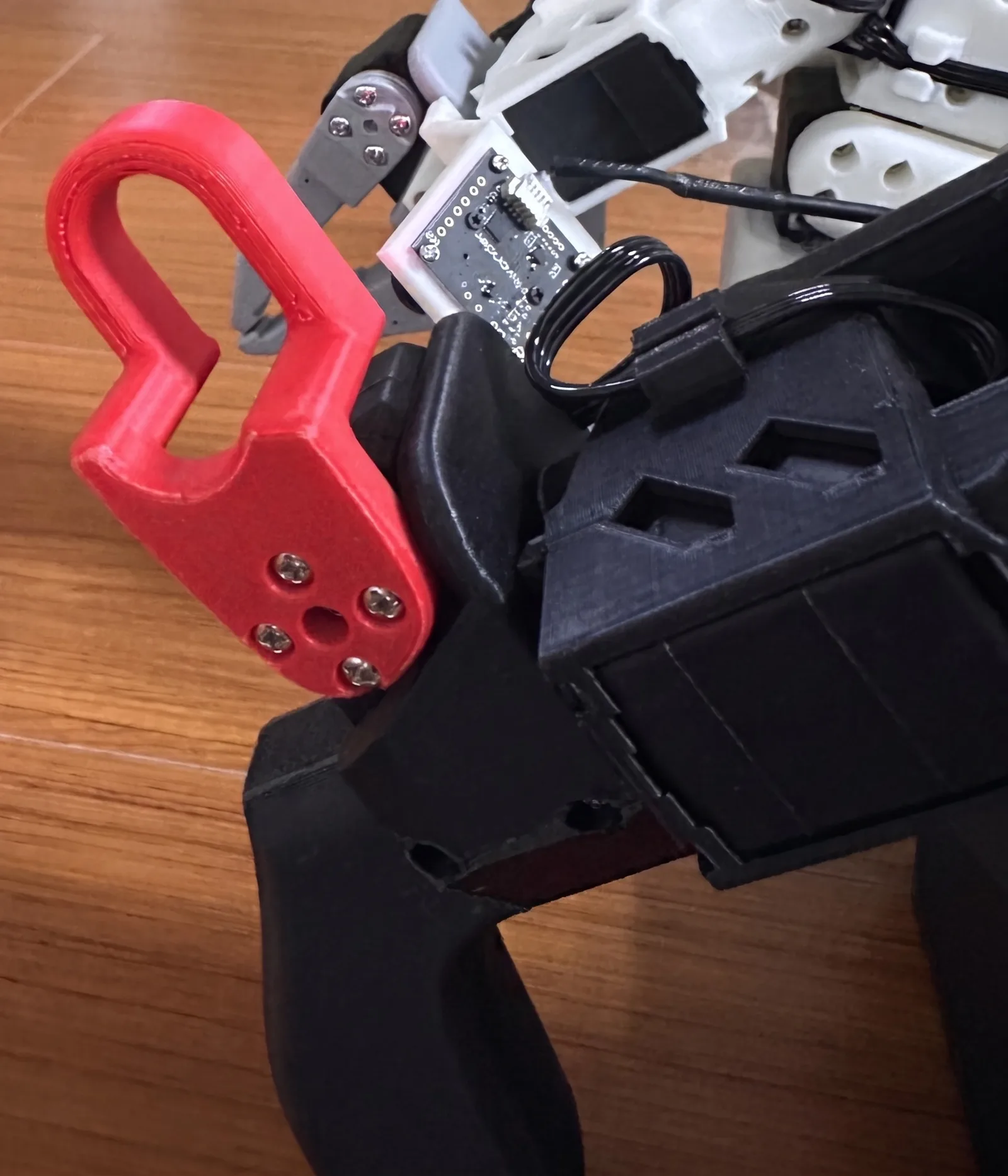 用來示範動作的主導手臂